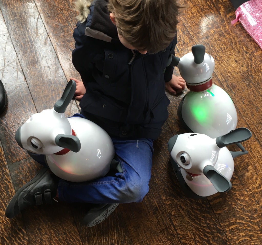 A boy sitting on the floor interacts with three of the animal-inspired MiRo-e robots.